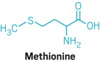 Serving the chemical, life science, and laboratory worlds