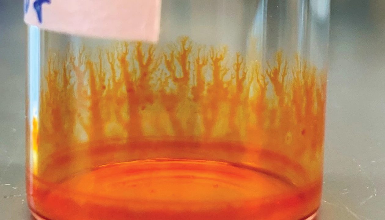Chemistry in Pictures: See the vial for the trees