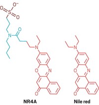 Serving the chemical, life science, and laboratory worlds