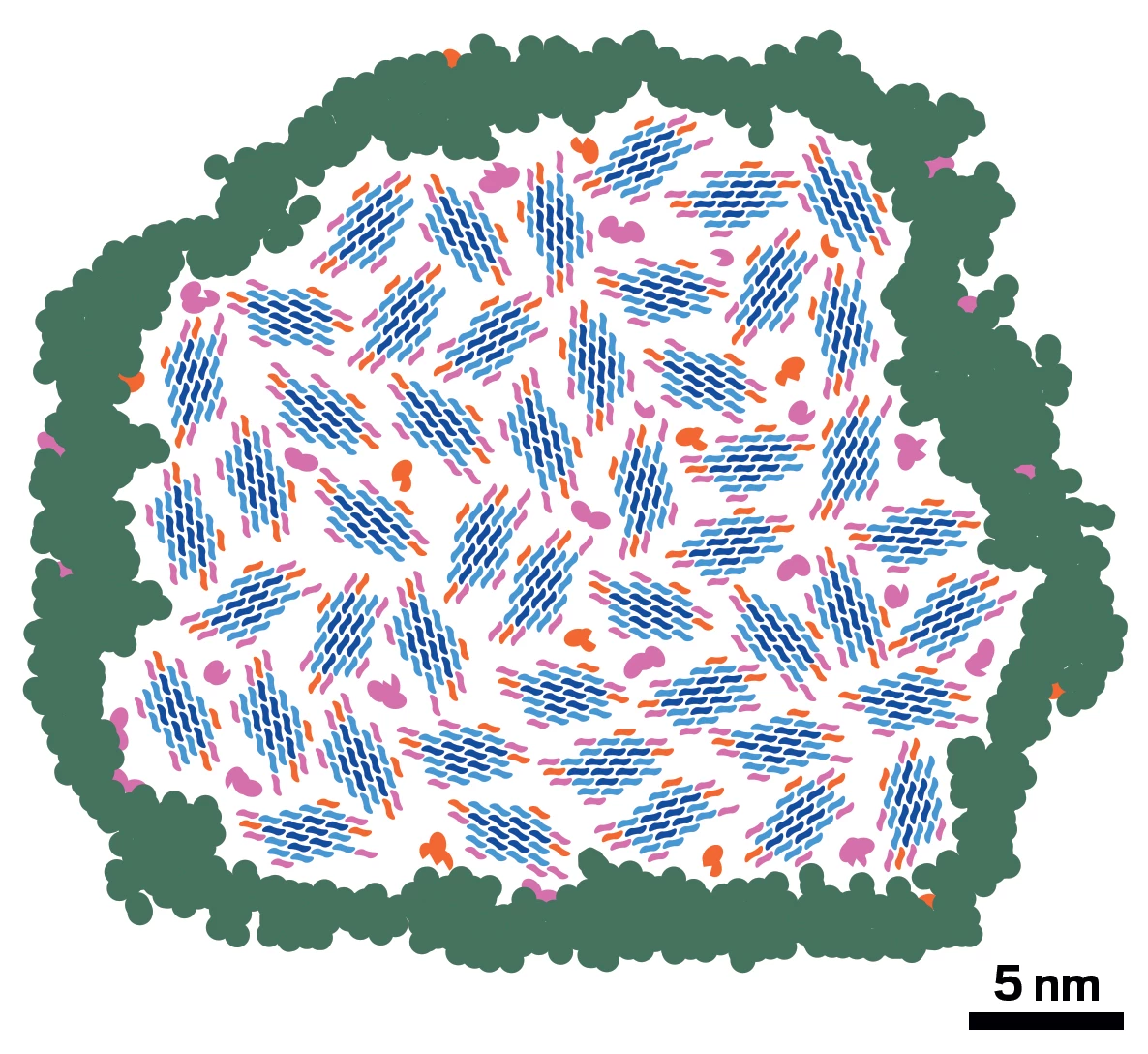 Scheme showing a model of softwood biopolymers in which elementary fibrils made of cellulose with bound xylan and galactoglucomannon form macrofibril bundles with lignin at the surface.