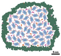 Serving the chemical, life science, and laboratory worlds