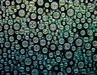 Serving the chemical, life science, and laboratory worlds