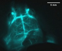 Serving the chemical, life science, and laboratory worlds