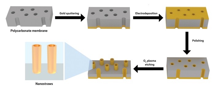 Schematic illustration showing a porous polycarbonate membrane sputtered with gold to coat the bottom of the membrane, electrodeposition to deposit a metal or conductive polymer on the inside of the pores, then polishing and oxygen plasma etching to remove the polycarbonate template, leaving behind nanostraws.