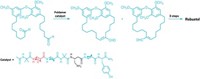 Serving the chemical, life science, and laboratory worlds