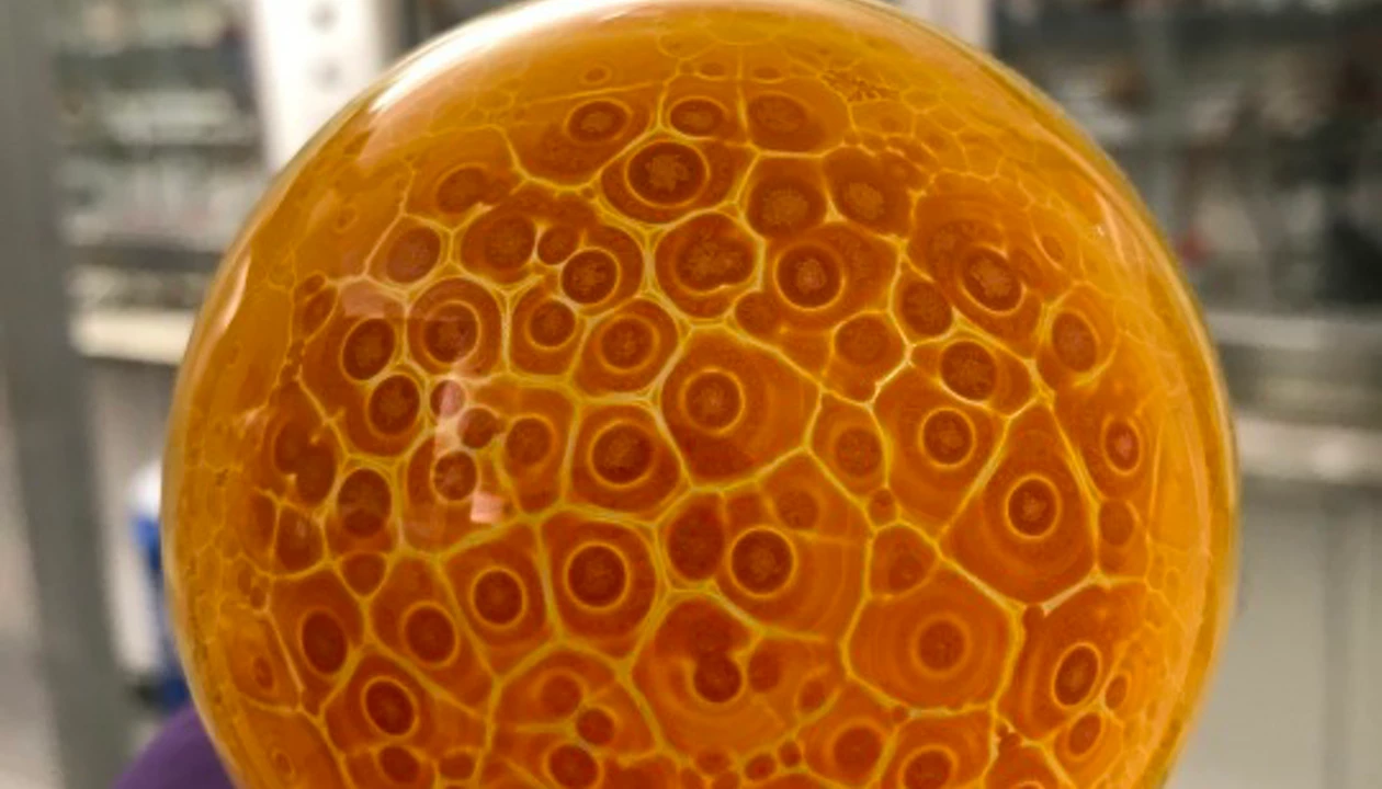 Chemistry in Pictures: Orange organelles