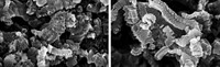 Serving the chemical, life science, and laboratory worlds