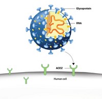 Serving the chemical, life science, and laboratory worlds