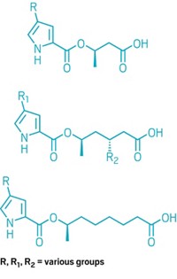 Serving the chemical, life science, and laboratory worlds