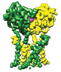 Serving the chemical, life science, and laboratory worlds