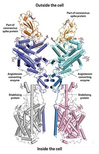 Serving the chemical, life science, and laboratory worlds