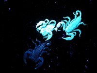 Serving the chemical, life science, and laboratory worlds