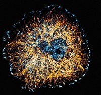 Serving the chemical, life science, and laboratory worlds