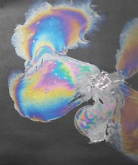 Serving the chemical, life science, and laboratory worlds