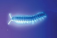 Serving the chemical, life science, and laboratory worlds