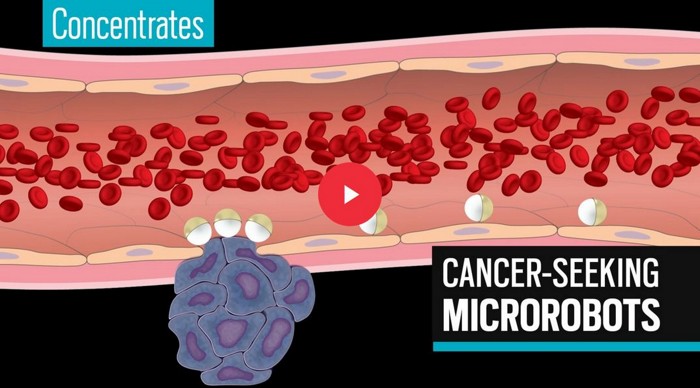 Video: Microrobots roll against blood flow to deliver drugs