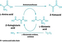 Serving the chemical, life science, and laboratory worlds