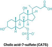 Serving the chemical, life science, and laboratory worlds