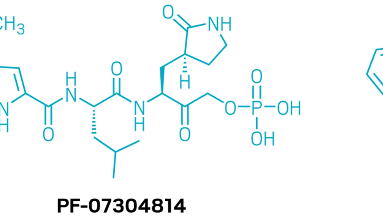 Pfizer's novel COVID-19 antiviral heads to clinical trials
