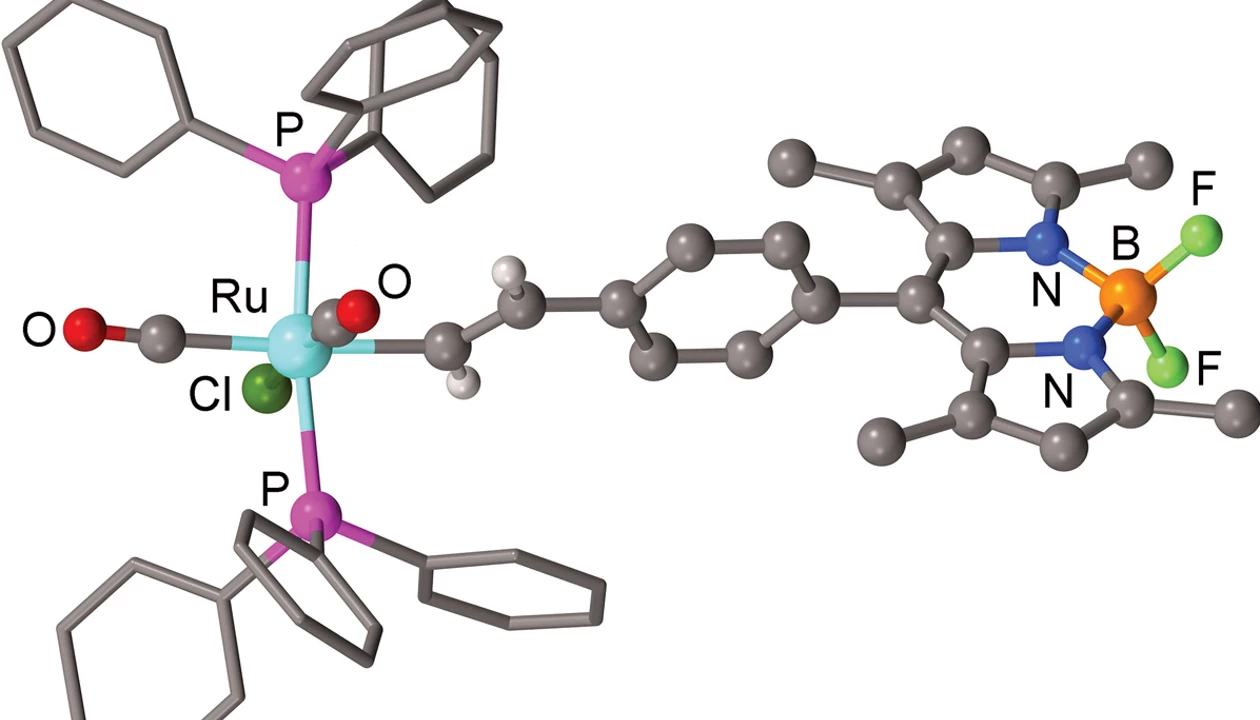 Ruthenium compound can detect signs of stressed-out cells