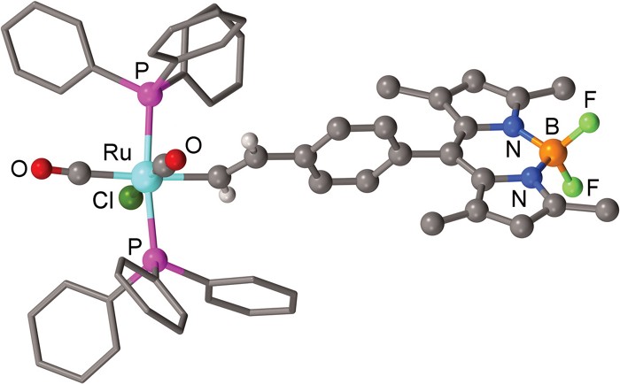 Ruthenium compound can detect signs of stressed-out cells