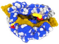 Serving the chemical, life science, and laboratory worlds
