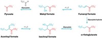 Serving the chemical, life science, and laboratory worlds