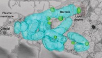 Serving the chemical, life science, and laboratory worlds