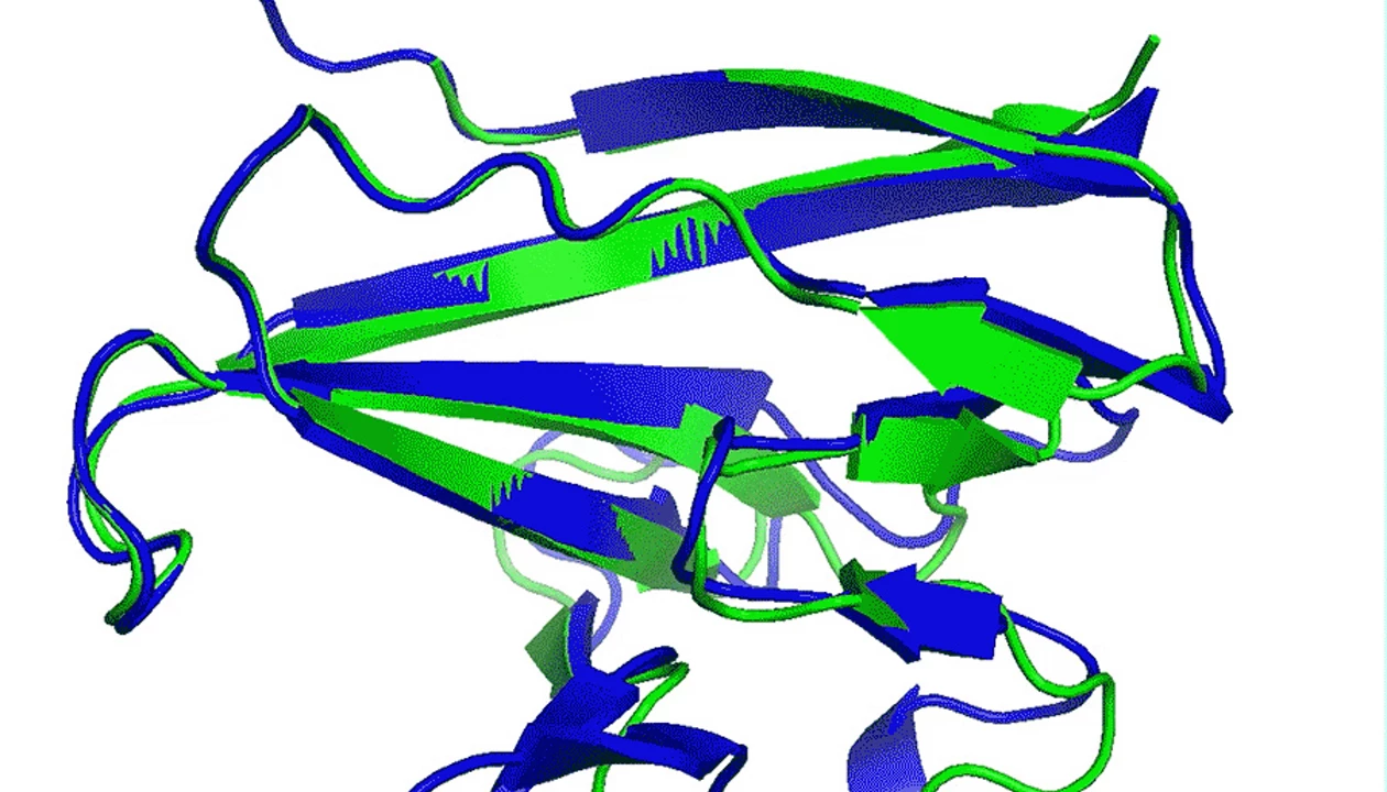 DeepMind AI predicts protein structures