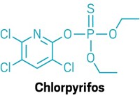 Serving the chemical, life science, and laboratory worlds