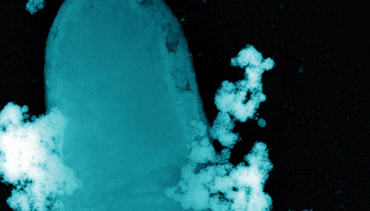 Chemistry in Pictures: Attack of the nanoparticles