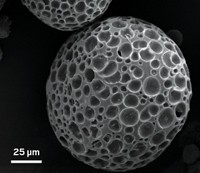 Serving the chemical, life science, and laboratory worlds