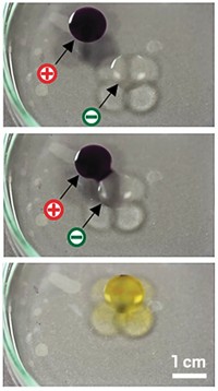 Serving the chemical, life science, and laboratory worlds
