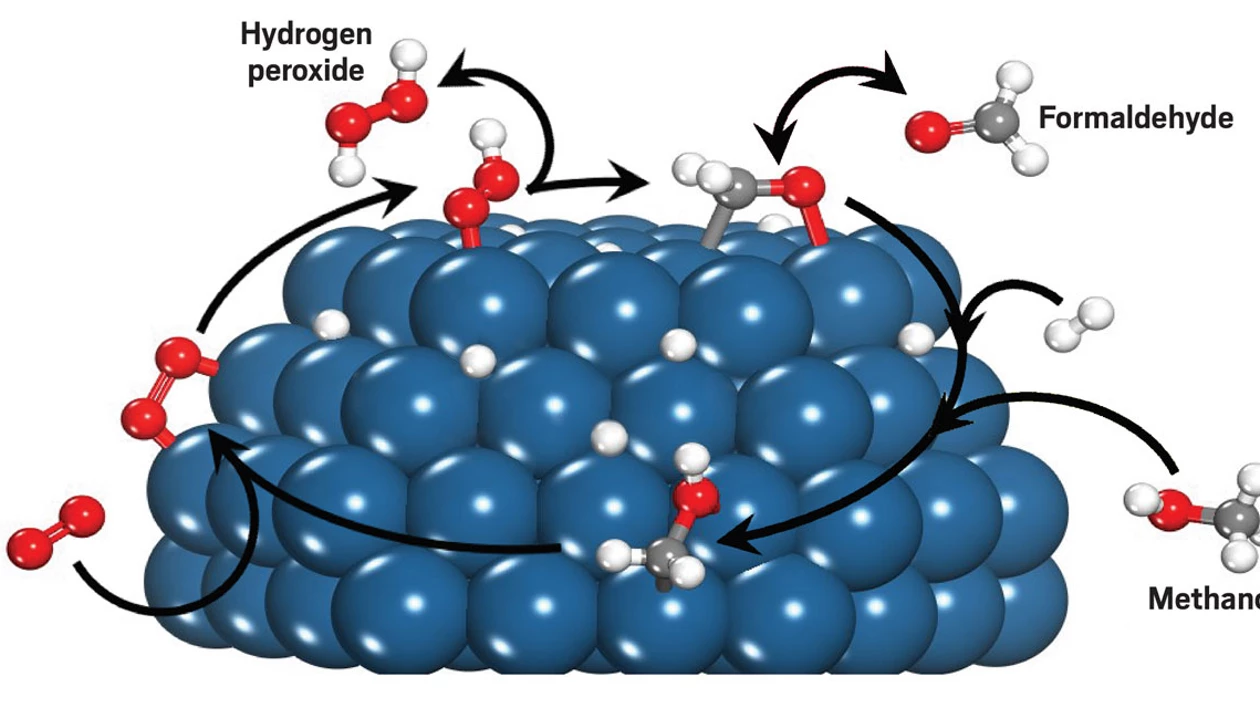 Solvent molecules catalyze surface reactions