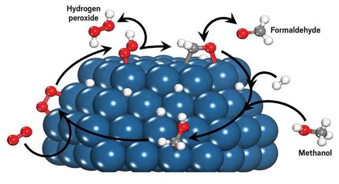 Solvent molecules catalyze surface reactions