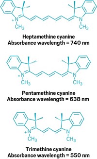 Serving the chemical, life science, and laboratory worlds