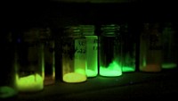 Serving the chemical, life science, and laboratory worlds