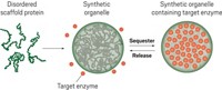 Serving the chemical, life science, and laboratory worlds