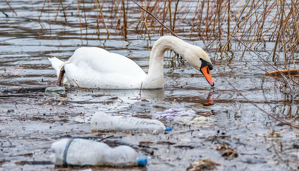 Turning plastic garbage into valuable lube oil