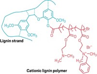 Serving the chemical, life science, and laboratory worlds