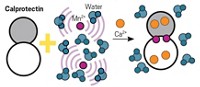 Serving the chemical, life science, and laboratory worlds