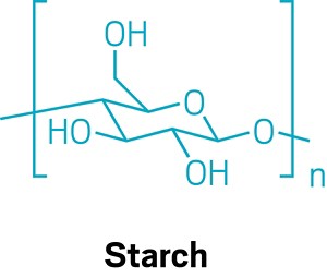 The chemical structure of starch.