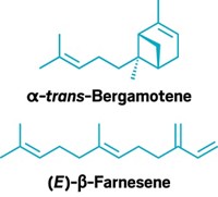 Serving the chemical, life science, and laboratory worlds