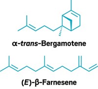 Serving the chemical, life science, and laboratory worlds