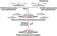 Serving the chemical, life science, and laboratory worlds