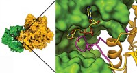 Serving the chemical, life science, and laboratory worlds