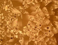 Serving the chemical, life science, and laboratory worlds