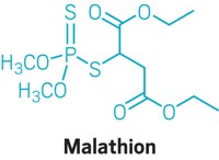 Serving the chemical, life science, and laboratory worlds