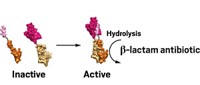 Serving the chemical, life science, and laboratory worlds