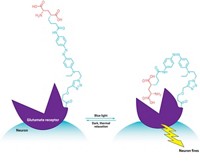 Serving the chemical, life science, and laboratory worlds
